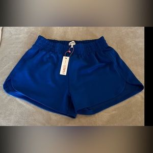 The Greii Women's Blue Scuba Shorts